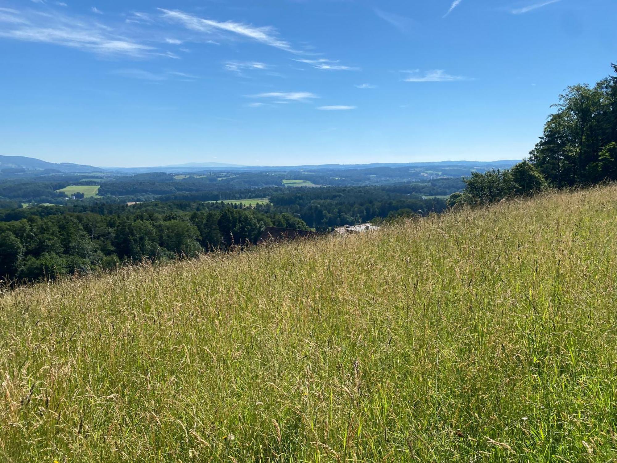 Apartment Wohnen Zwischen Golf Und Therme